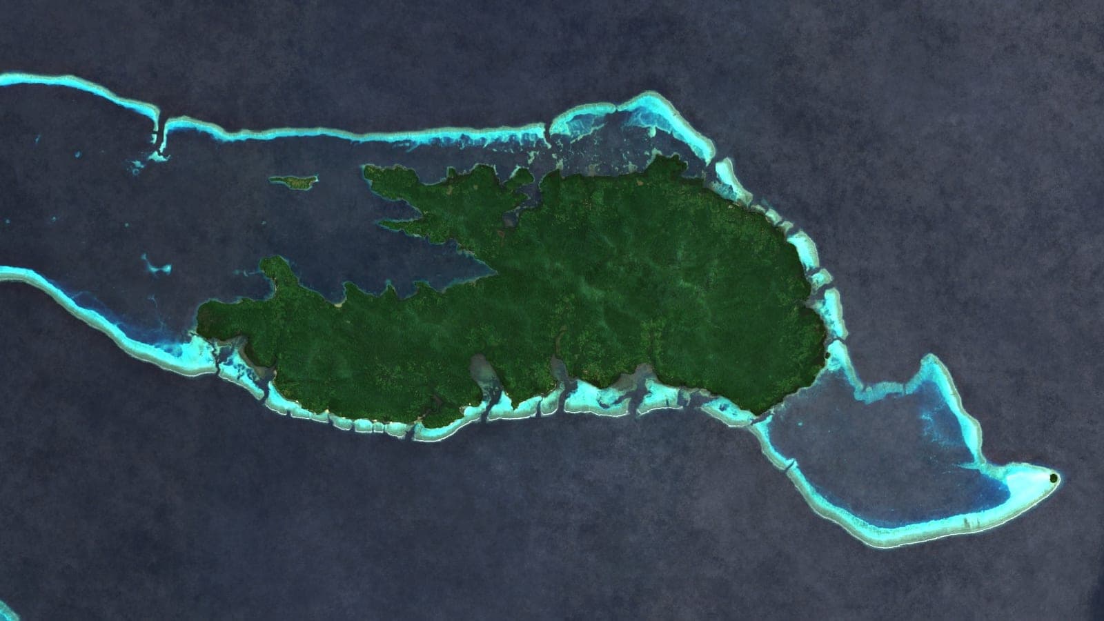 SAR Flood Mapping with Sentinel-1: How It Works and Why It Matters for India