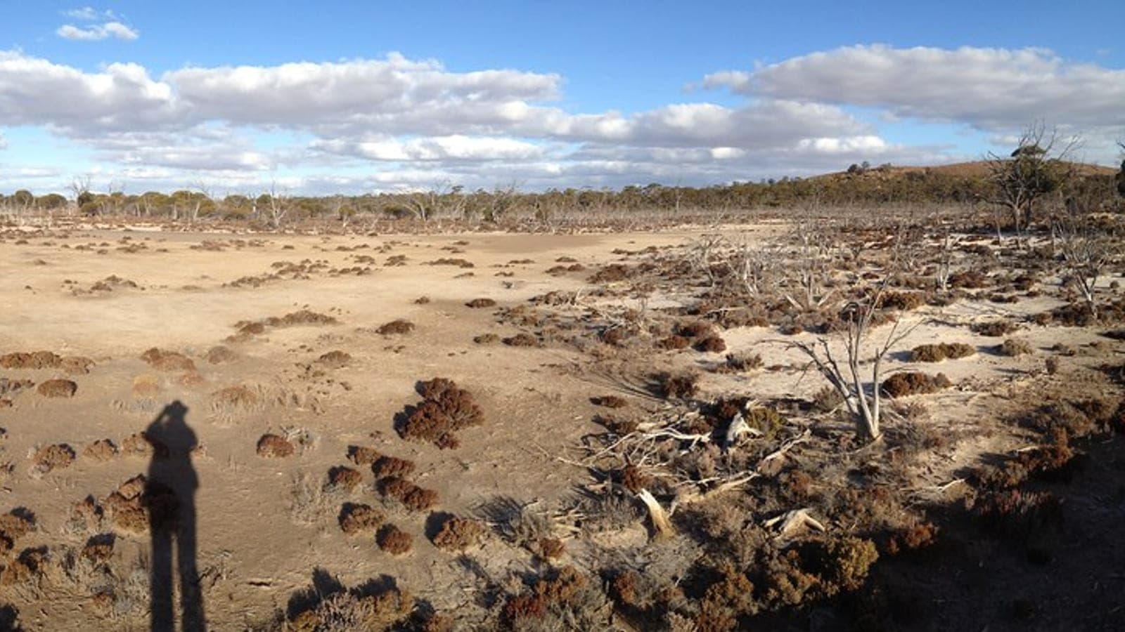 Mapping Soil Salinity in GEE: Indices, Datasets and Code