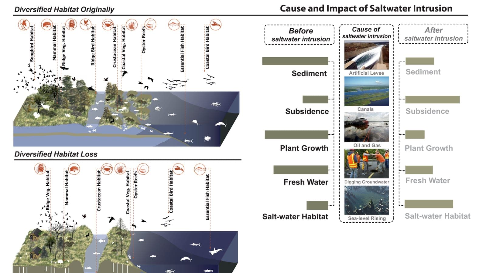 Detecting Saltwater Intrusion in Coastal Aquifers with Remote Sensing
