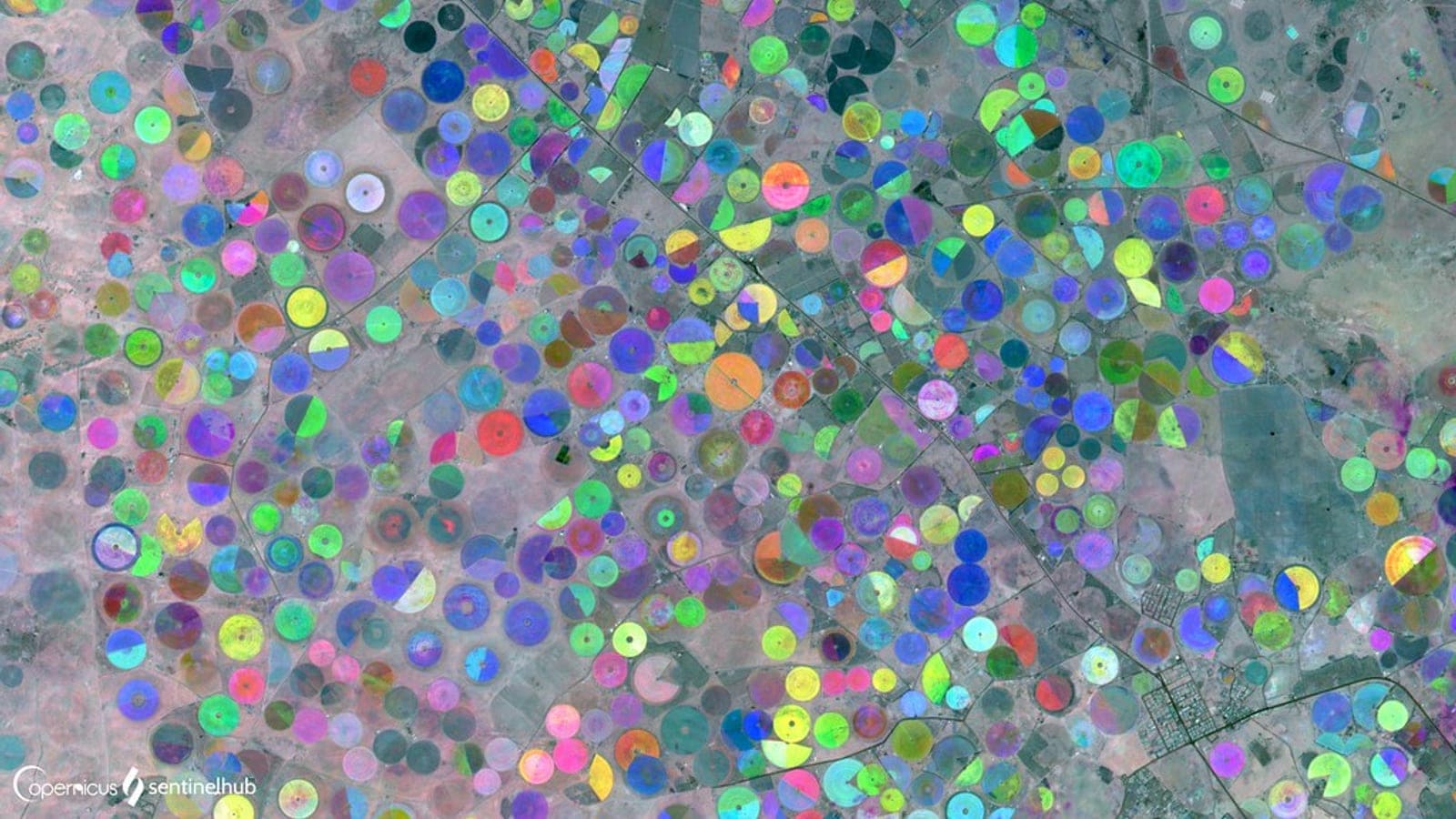 NDVI Time-Series Analysis in GEE: Detecting Seasonal Crop Cycles
